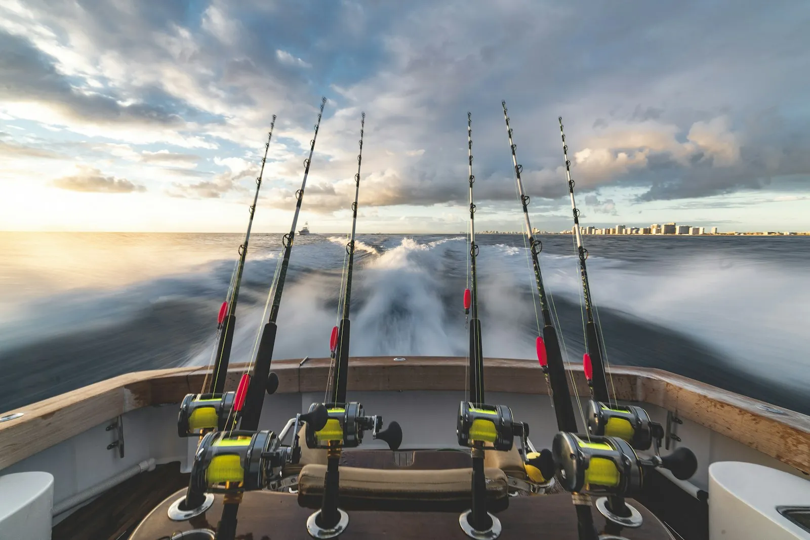 Fishing rods lined up on the stern of a sportfishing boat